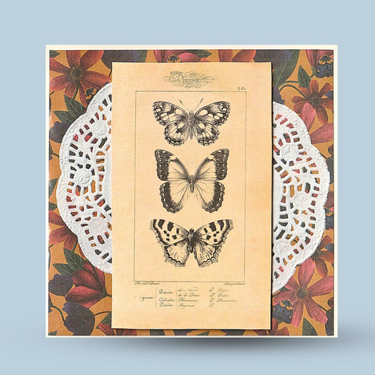Greetings card 15x15: Flowers, butterflies