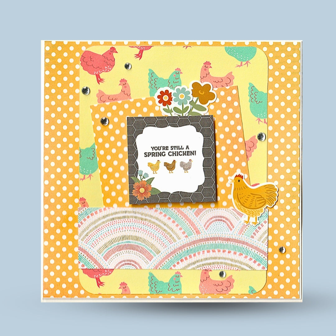 Greeting card 15x15: "spring chicken", hens